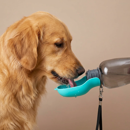 Gourde Portable pour Chien — 800ml